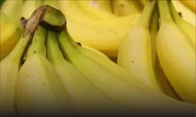Écroignard : le voleur ne lâche pas les bananes…