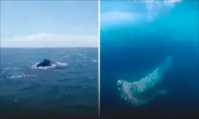 Un ballet des baleines dans les eaux mauriciennes 