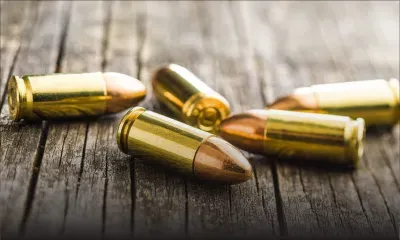 Forest-Side : des «braconniers» ouvrent le feu en direction d'un vigile