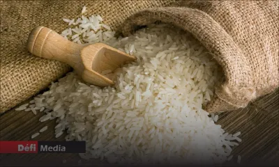 Riz basmati : une hausse de prix de 10 % attendue en mars