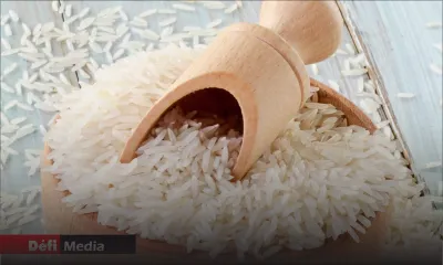 Riz basmati : vers une hausse des prix 
