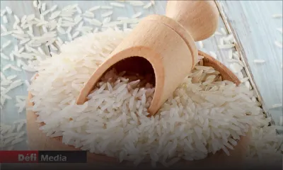 Riz basmati : le flou persiste autour des prix 