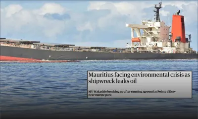«Crise environnementale», «l'île touristique frappée» : la presse internationale commente la fuite d'huile du Wakashio 