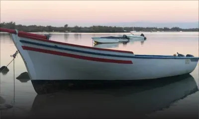 Grand-Gaube : huit personnes arrêtées pour pêche illégale