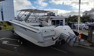 Opération de la FCC : saisies d’une valeur de Rs 21 millions, quatre suspects maintenus en détention