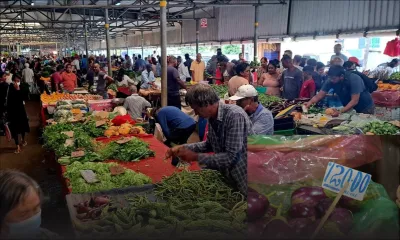 Légumes rares et chers : végétariens à tout prix mais…