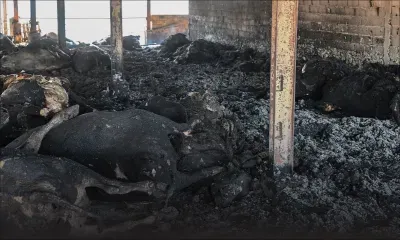 Après 3 semaines de canicules, l'ONU confirme: juillet sera le mois le plus chaud jamais enregistré sur la planète