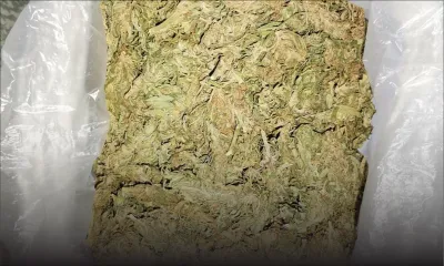 Dans l'Ouest : trois trafiquants de cannabis arrêtés