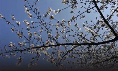 Prévisions météo du 22 septembre
