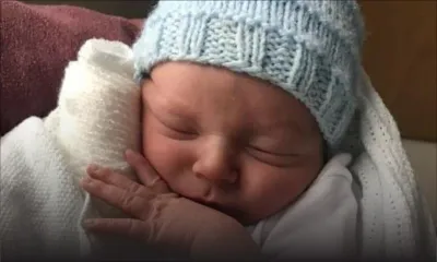 Bébé tué par un chien : l’animal aurait pensé que c’était un jouet