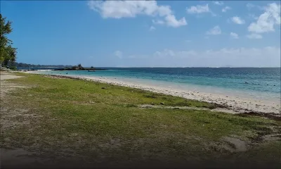 Belle-Mare : la présence de méduses signalée dans le lagon