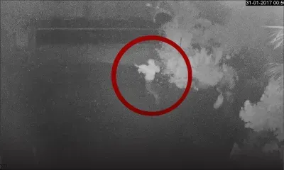 Vol de bétail filmé : deux hommes et une femme démasqués 