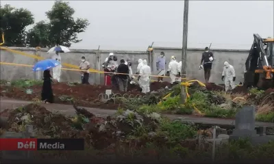 Le cimetière Bois Marchand en back-up pour celui de Bigara