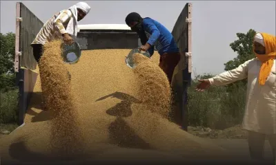 L'Inde interdit les exportations de blé, le G7 s'alarme d'une aggravation de la crise