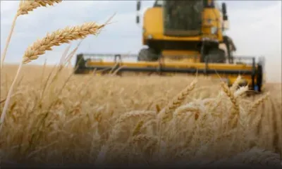 Guerre en Ukraine: les prix alimentaires mondiaux atteignent un niveau jamais enregistré