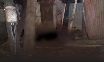 Riche-Terre :  une dispute de voisinage à l’origine d’un meurtre, le suspect passe aux aveux