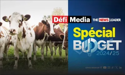 Budget 2024-25 - Importation d’animaux : Une subvention de Rs 225 000 pour l’importation de vaches, porcs et boucs