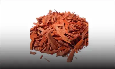 Fond-du-Sac : un homme arrêté pour vol de bois de santal