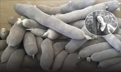  Fuite d'huile du Wakashio: vos cheveux peuvent aider à dépolluer les eaux