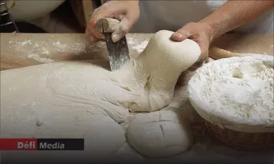 Qualité de la farine de la STC : les boulangers montent au créneau, le ministre du Commerce promet une enquête