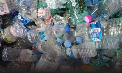 Nouvelle mesure budgétaire : le recyclage de bouteilles PET encouragé 