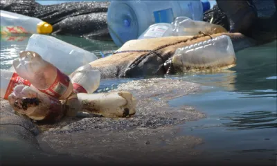 Wakashio : les sites touchés par le ‘oil spill’ interdits au public