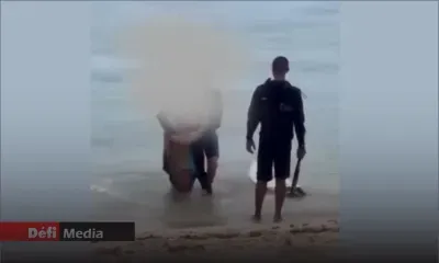 Incident au Morne : L’employeur du skipper présente ses excuses