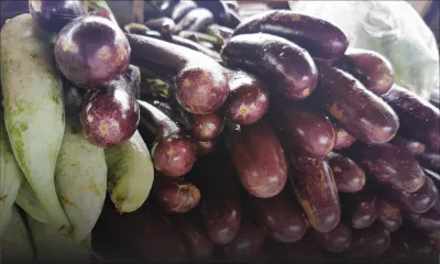 Indicateurs : les légumes étant moins cher, l’inflation a chuté à 2,8 % en mai