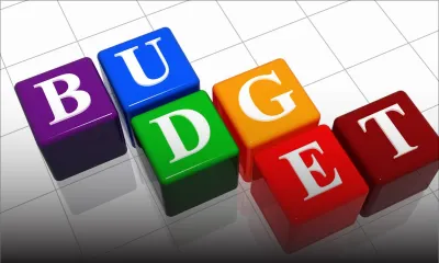 Budget 2017/2018: Last minute lifeline 