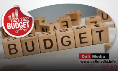 Budget 2021-22 : les principales annonces en fil rouge
