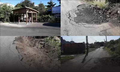 Albion : l’abribus qui déchaîne les passions