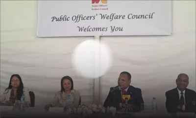 Vallée-des-Prêtres : des chiens errants tuent des moutons et des cabris 