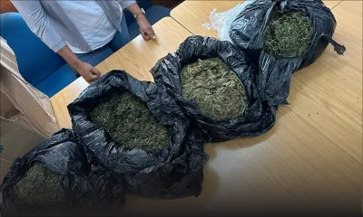 Flacq : du cannabis réunionnais, estimé à Rs 7,6 M, saisi dans un camion