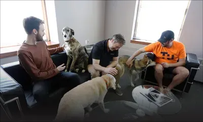 Au Canada, les chiens s'invitent au bureau de leur maître