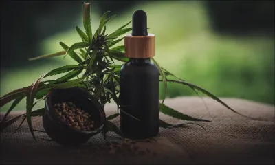 Conclusions préliminaires d’un comité technique : l’usage du cannabis médical à Maurice préconisé 