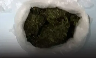 Triolet : un motocycliste arrêté avec du cannabis d'une valeur marchande d’un million de roupies