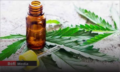 Cannabis à usage médical : un rapport bientôt soumis au ministère de la Santé