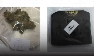 Poste : un colis contenant Rs 1,5 million de cannabis saisi