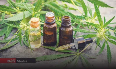 Six cas à l’étude devant le comité thérapeutique sur le cannabis médicinal