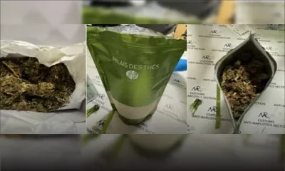 À l’aéroport : Plus d’un demi-million de roupies de cannabis saisis sur 5 passagers provenant de deux différents vols 