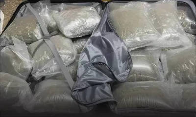 À Ste-Croix - saisie de Rs 37 M de cannabis : un jeune arrêté, ses complices recherchés 