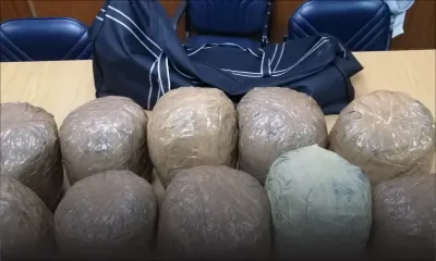 Cassis : saisie de plus de Rs 15 M de cannabis