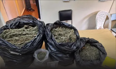 Union-Park : Saisie de 7,8 kilos de cannabis