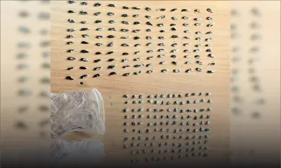 À Batterie-Cassée : Un dealer abandonne 248 doses de drogue et disparaît