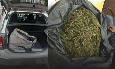 Trafic de drogue : 5,8 kg de cannabis saisis dans la capitale 