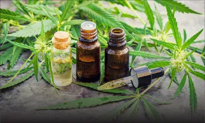 Cannabis médical : les premiers patients recevront leurs médicaments vers mars 2023
