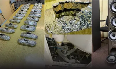 Saisie de Rs 13,8 millions de cannabis dans un conteneur à Baie-du-Tombeau