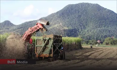 Nouveaux prix de vente par tonne pour le jus de canne et la mélasse
