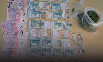 Saisie de cannabis et près d'un demi-million de roupies à Rivière-des-Anguilles : une femme de 23 ans arrêtée