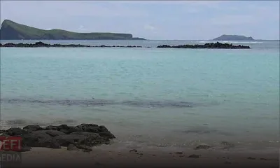 Un pont piétonnier sur la route Mon Choisy-Cap Malheureux 